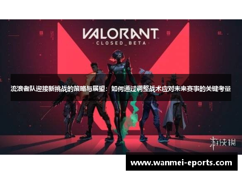 流浪者队迎接新挑战的策略与展望：如何通过调整战术应对未来赛事的关键考量